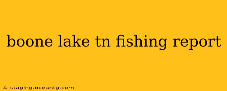 boone lake tn fishing report