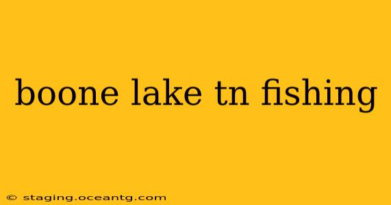 boone lake tn fishing