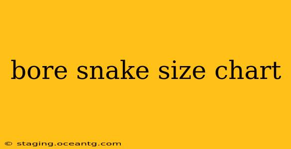 bore snake size chart