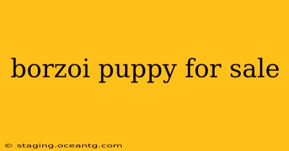 borzoi puppy for sale
