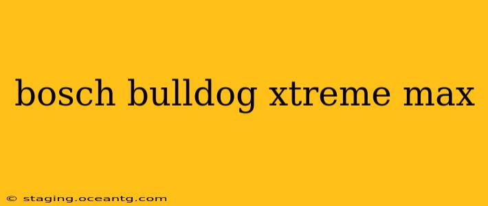 bosch bulldog xtreme max