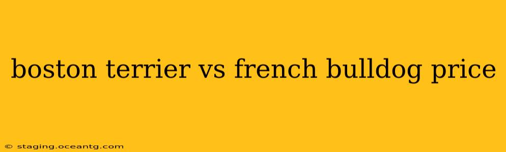 boston terrier vs french bulldog price