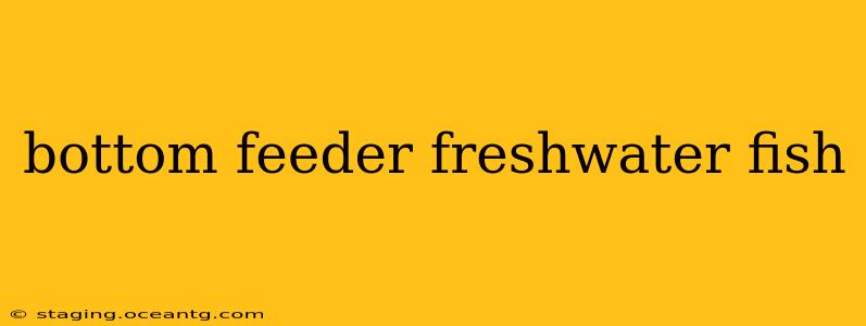 bottom feeder freshwater fish