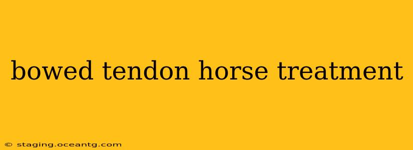 bowed tendon horse treatment