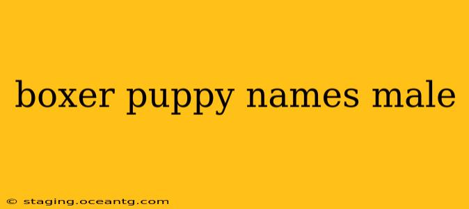 boxer puppy names male