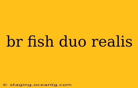 br fish duo realis