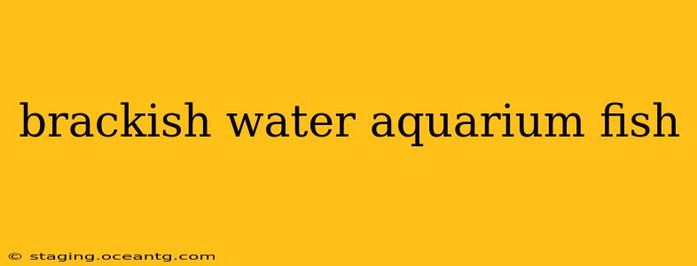 brackish water aquarium fish