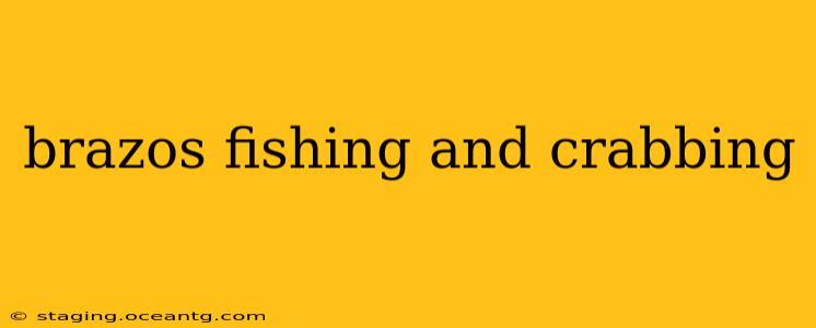 brazos fishing and crabbing