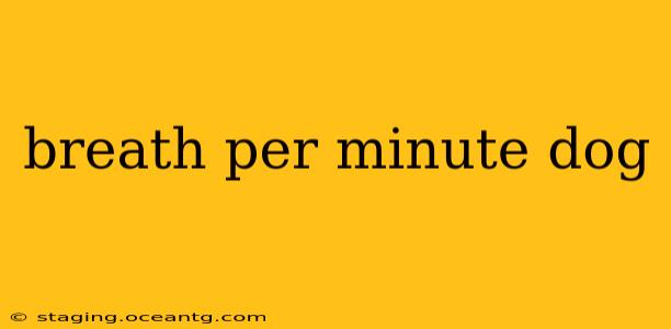 breath per minute dog