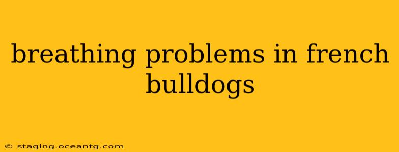 breathing problems in french bulldogs