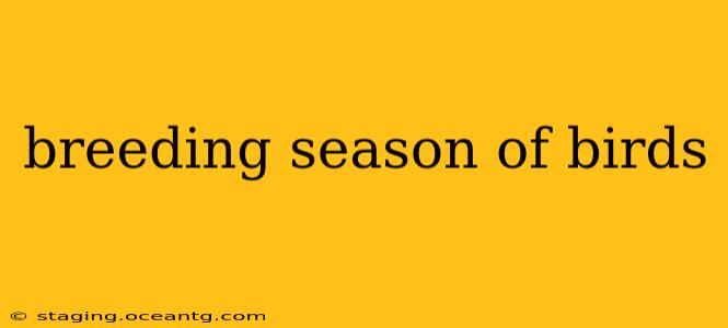 breeding season of birds