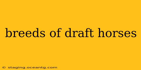 breeds of draft horses