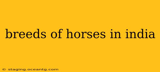 breeds of horses in india