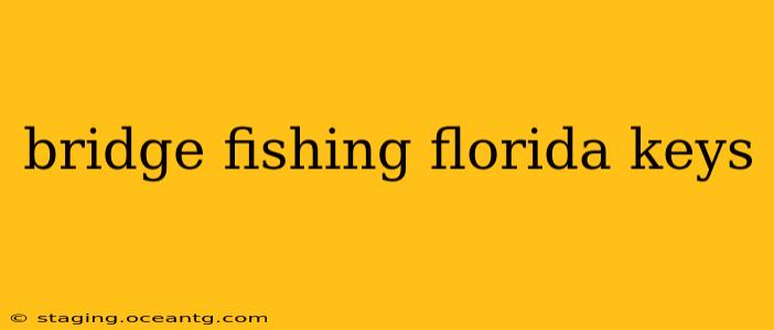 bridge fishing florida keys