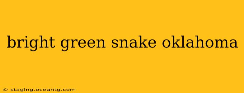 bright green snake oklahoma