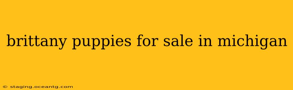brittany puppies for sale in michigan