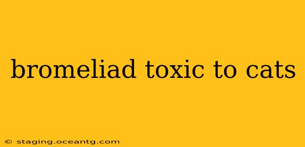 bromeliad toxic to cats