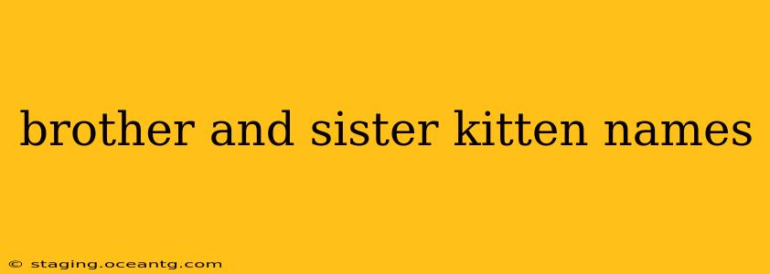 brother and sister kitten names