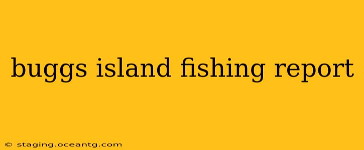 buggs island fishing report