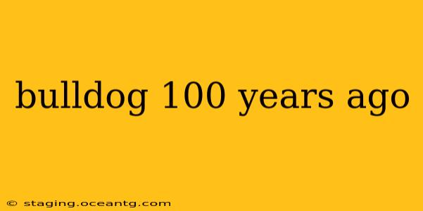 bulldog 100 years ago