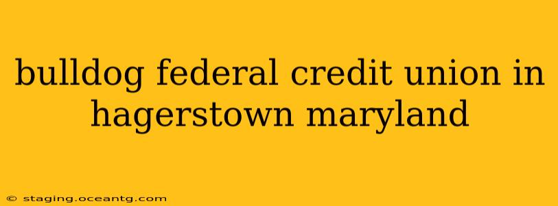 bulldog federal credit union in hagerstown maryland