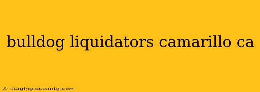 bulldog liquidators camarillo ca