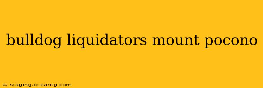 bulldog liquidators mount pocono