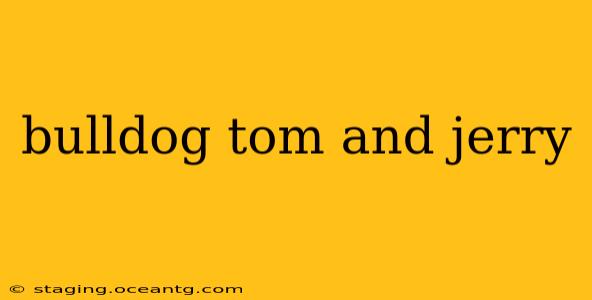 bulldog tom and jerry