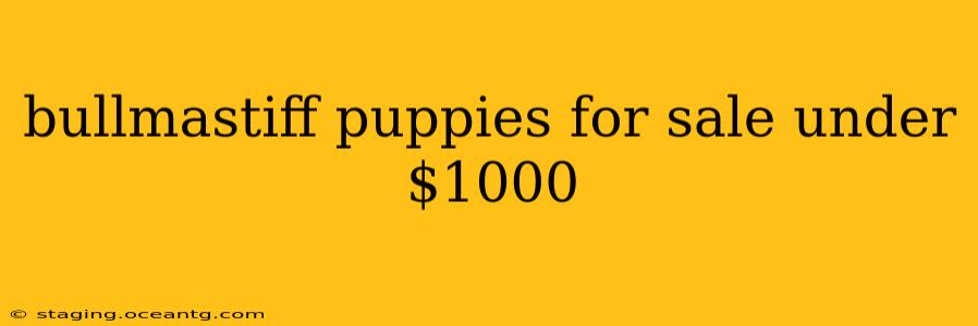 bullmastiff puppies for sale under $1000