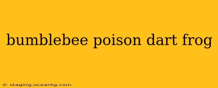 bumblebee poison dart frog