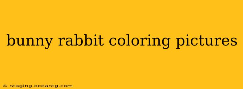bunny rabbit coloring pictures