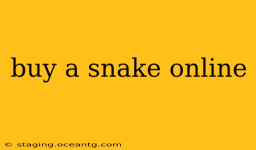 buy a snake online