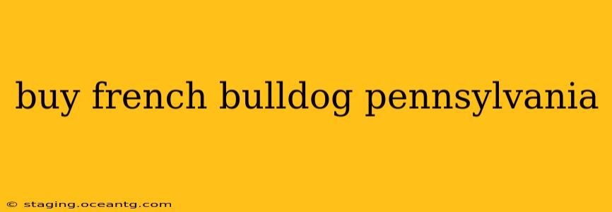 buy french bulldog pennsylvania