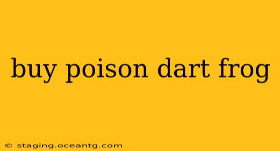 buy poison dart frog