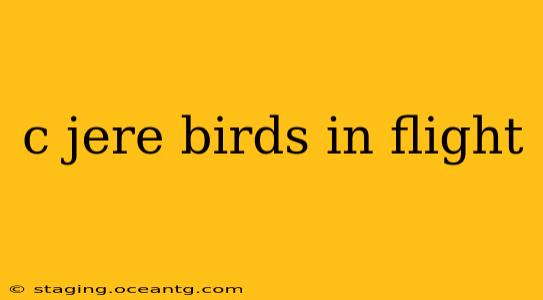 c jere birds in flight