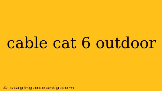 cable cat 6 outdoor