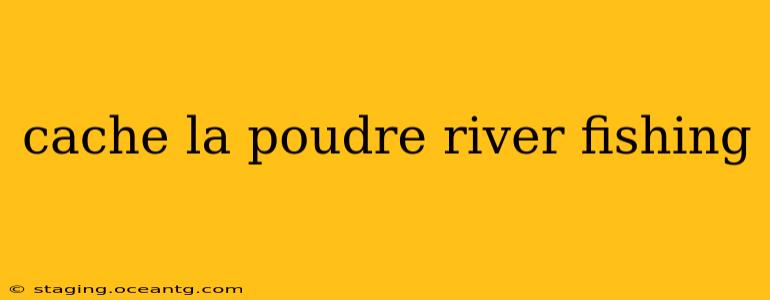 cache la poudre river fishing