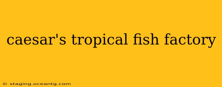 caesar's tropical fish factory