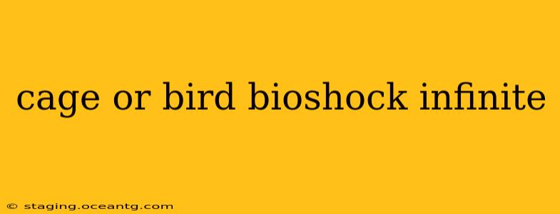 cage or bird bioshock infinite