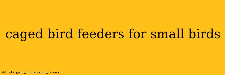 caged bird feeders for small birds