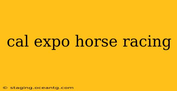 cal expo horse racing