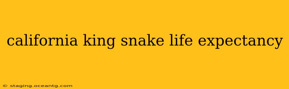 california king snake life expectancy