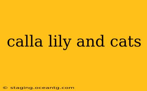calla lily and cats