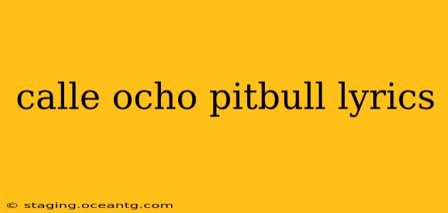 calle ocho pitbull lyrics