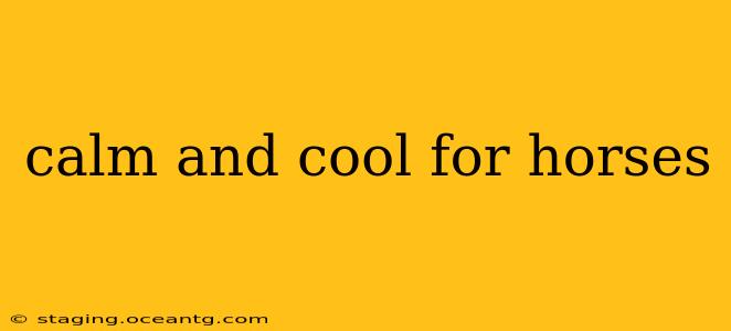 calm and cool for horses