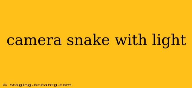 camera snake with light