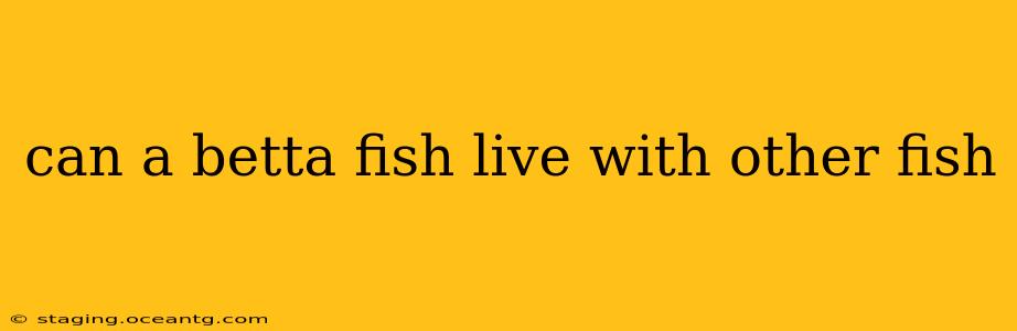 can a betta fish live with other fish