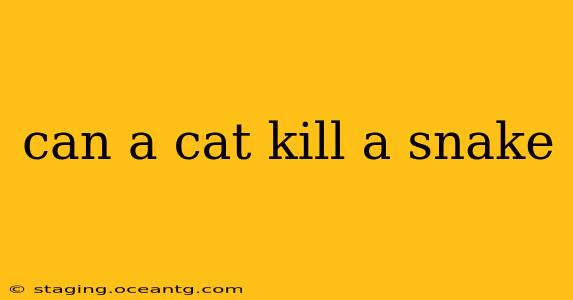 can a cat kill a snake
