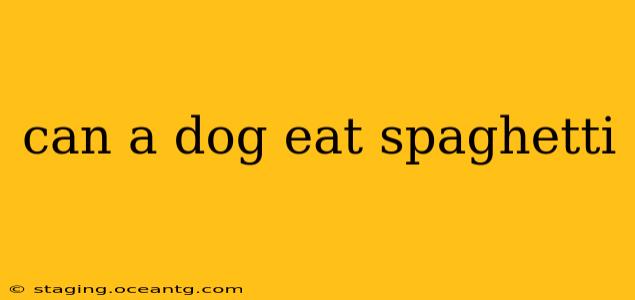 can a dog eat spaghetti