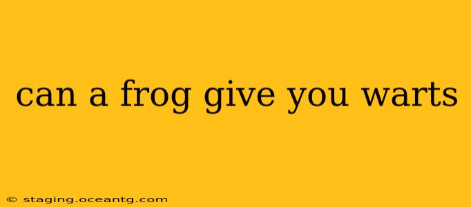 can a frog give you warts